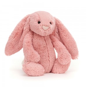 Coral Jellycat Bashful Bunny | US-LWBH58360