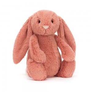 Coral Jellycat Bashful Bunny | US-RQDL18426