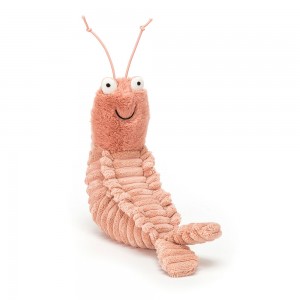 Coral Jellycat Sheldon Shrimp | US-GBPX94087