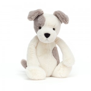 Cream / Grey Jellycat Bashful Terrier | US-YSAK51068