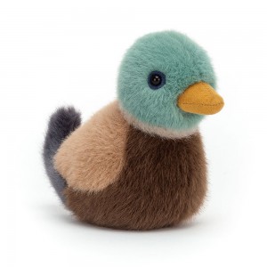 Dark Brown / Blue Jellycat Birdling Mallard | US-VPIX69540