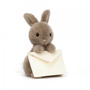 Dark Brown / Cream Jellycat Messenger Bunny | US-IXUN80751