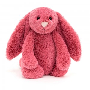 Dark Coral Jellycat Bashful Bunny | US-QVFP75618