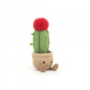 Red / Green / Beige Jellycat Amuseables Moon Cactus | US-GJKT48271