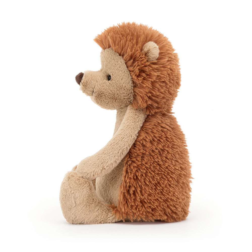 Brown Jellycat Bashful Hedgehog | US-OKBS10269