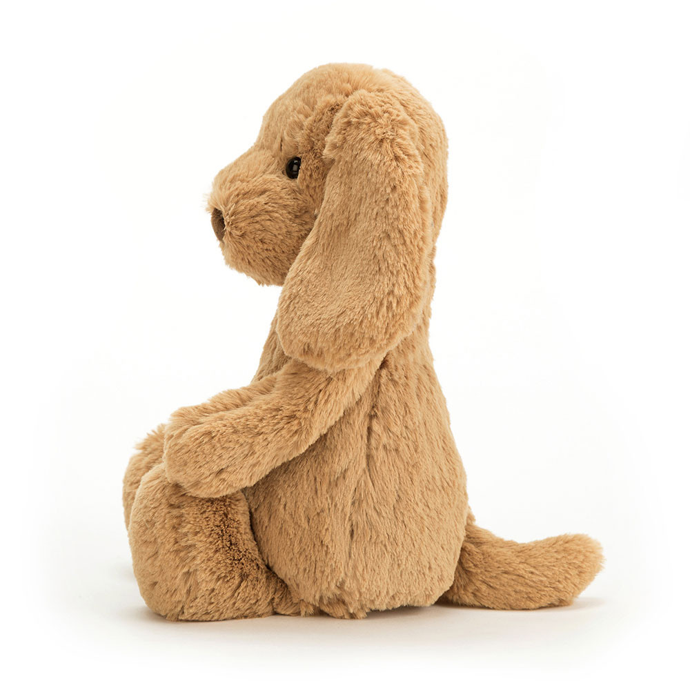 Brown Jellycat Bashful Puppy | US-PZKM16509