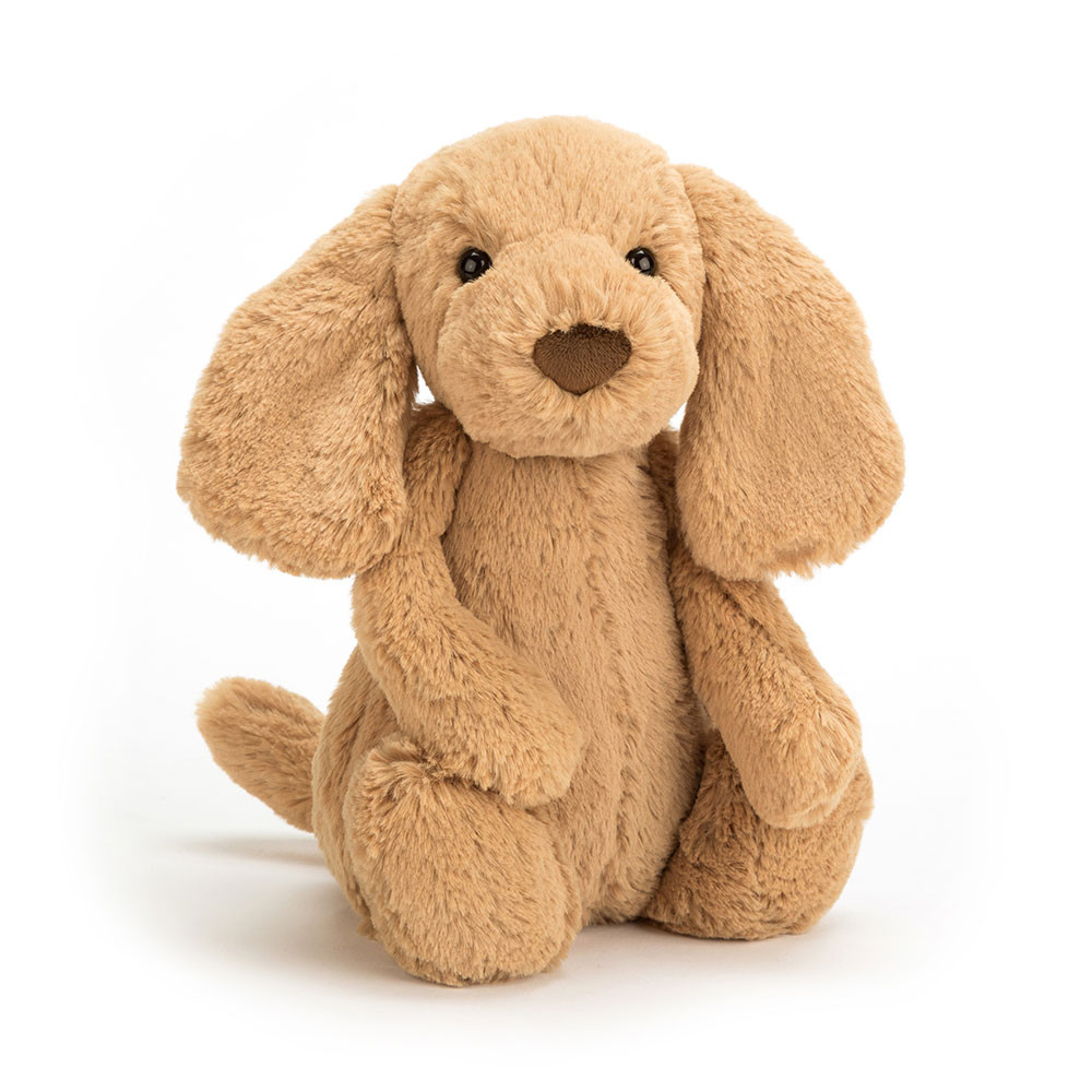 Brown Jellycat Bashful Puppy | US-PZKM16509