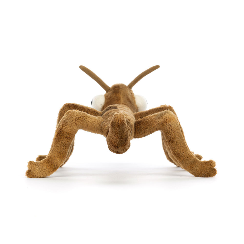 Brown Jellycat Stanley Stick Insect | US-ANHM17945