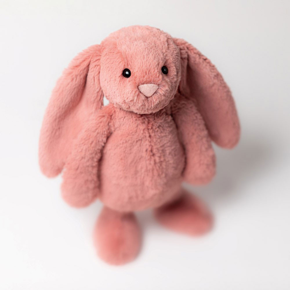 Coral Jellycat Bashful Bunny | US-RQDL18426