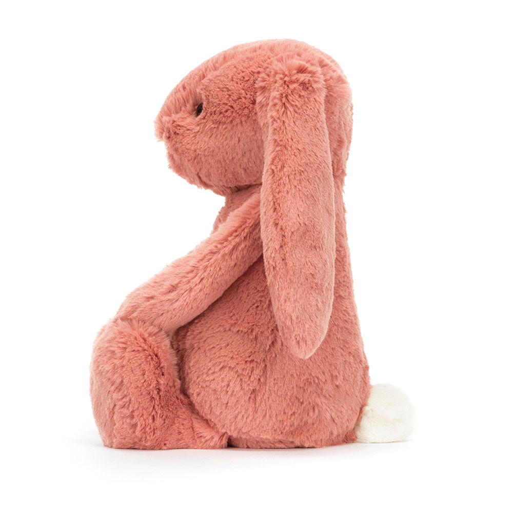 Coral Jellycat Bashful Bunny | US-RQDL18426