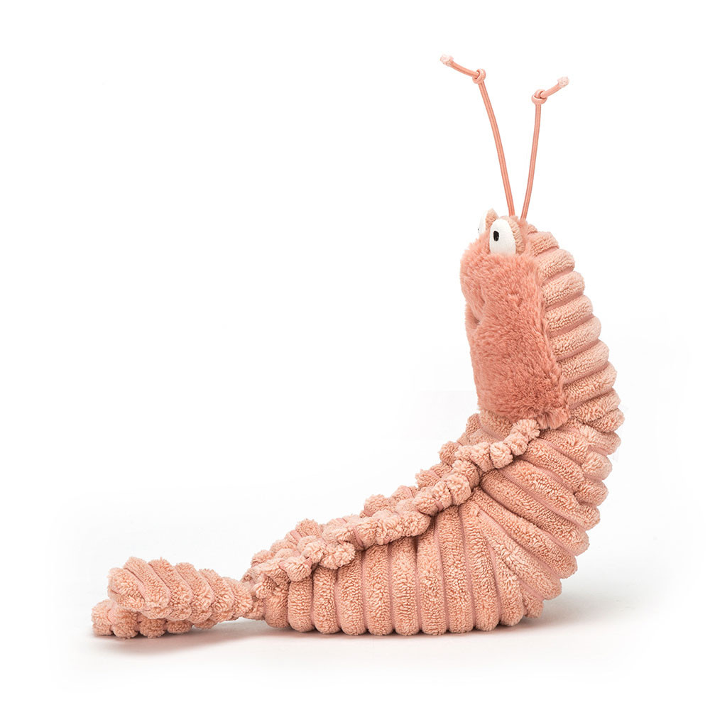 Coral Jellycat Sheldon Shrimp | US-GBPX94087