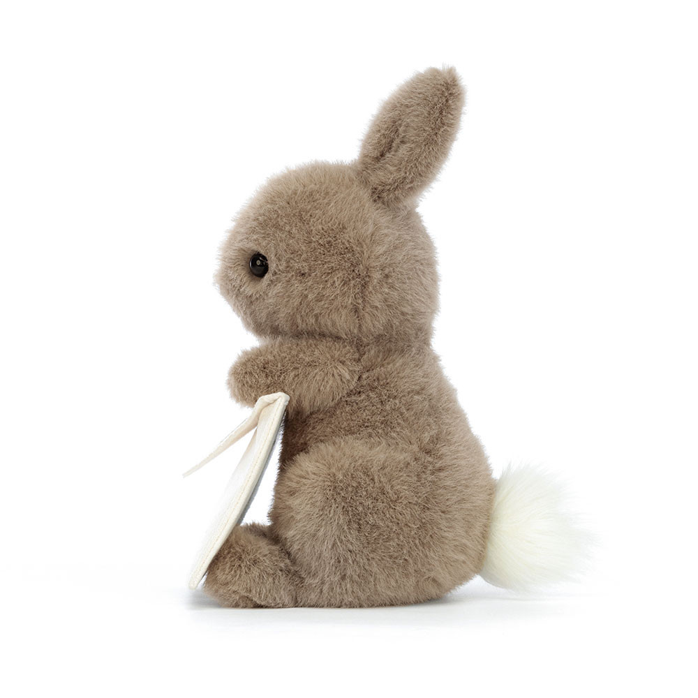 Dark Brown / Cream Jellycat Messenger Bunny | US-IXUN80751