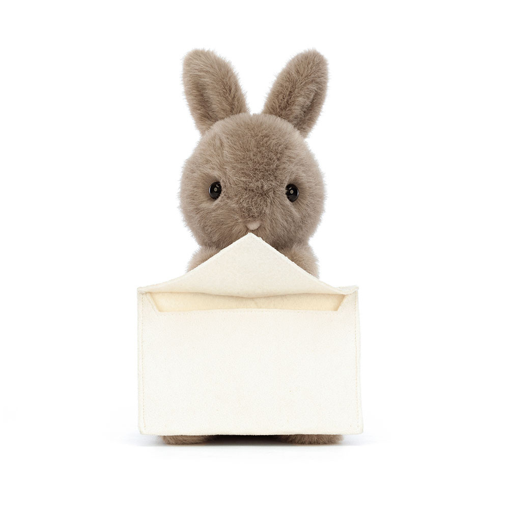 Dark Brown / Cream Jellycat Messenger Bunny | US-IXUN80751