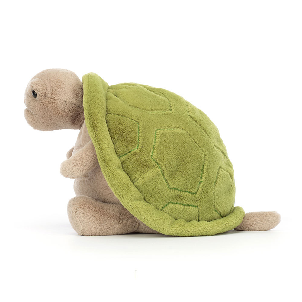 Green / Beige Jellycat Timmy Turtle | US-PBYI57290