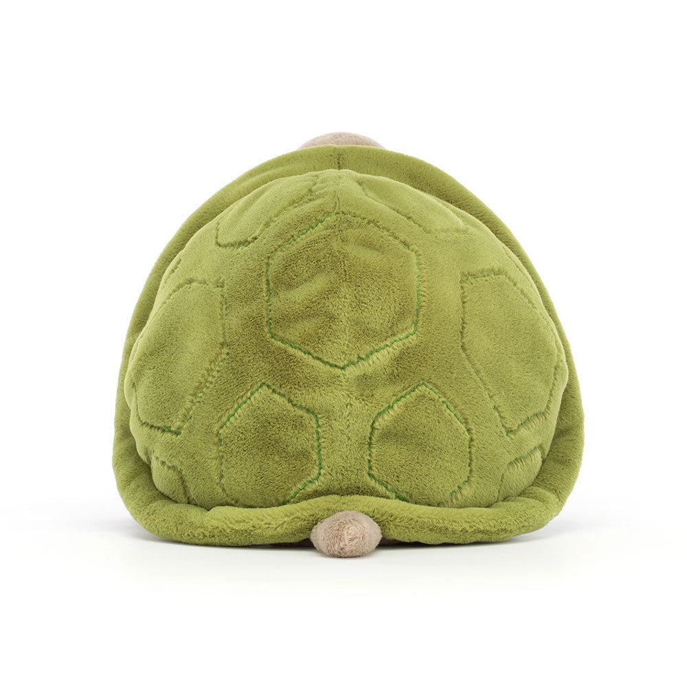 Green / Beige Jellycat Timmy Turtle | US-PBYI57290