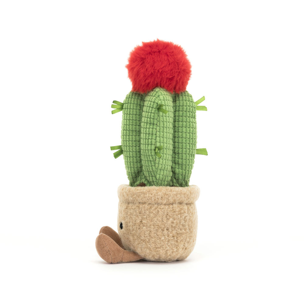 Red / Green / Beige Jellycat Amuseables Moon Cactus | US-GJKT48271