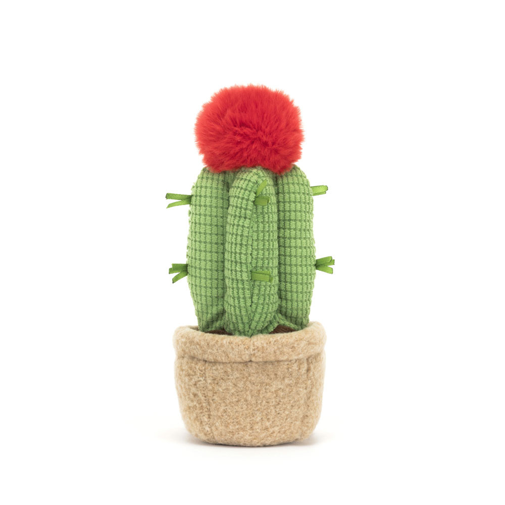 Red / Green / Beige Jellycat Amuseables Moon Cactus | US-GJKT48271